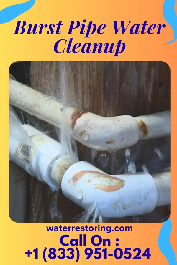 Burst Pipe Water Cleanup in Ostrander, OH