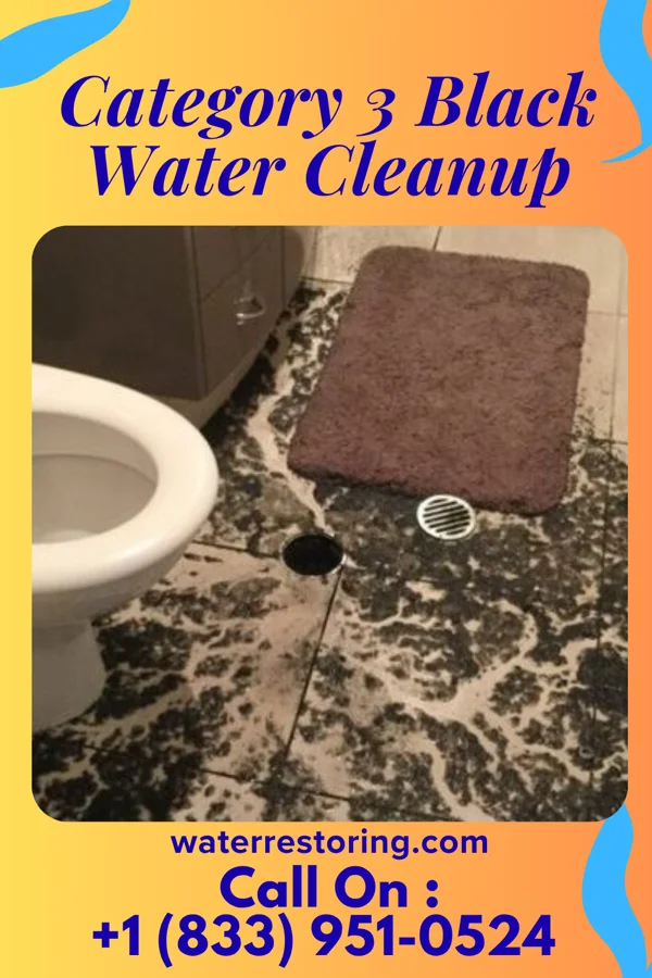 Category 3 Black Water Cleanup in Ostrander, OH