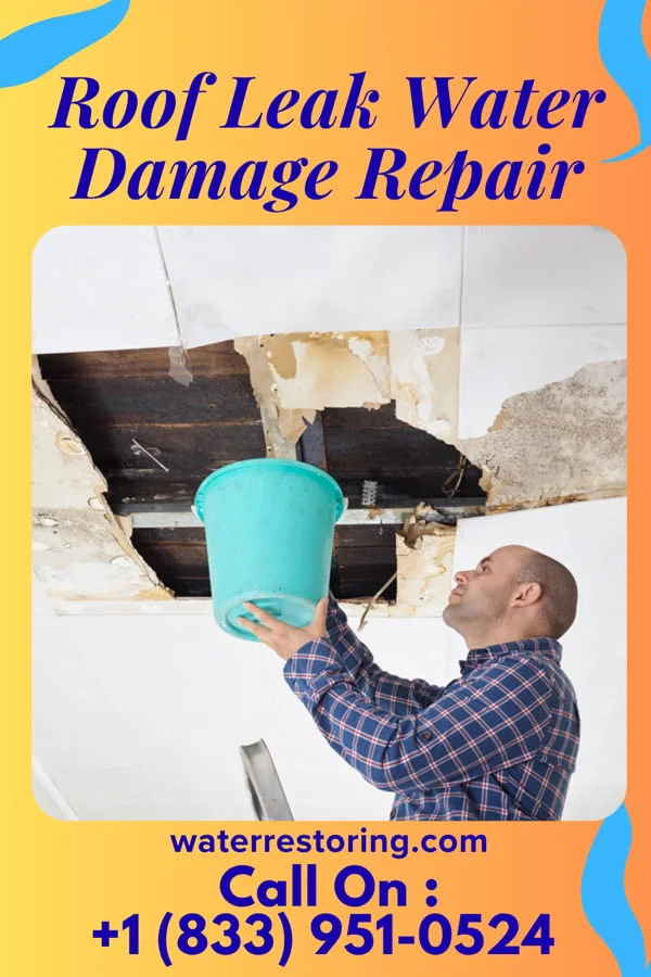 Roof Leak Water Damage Repair in Ostrander, OH