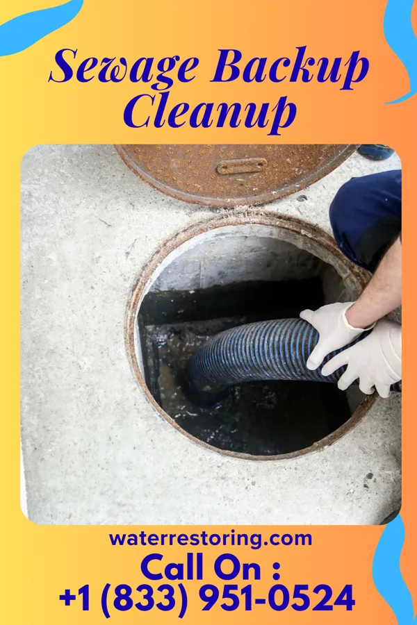 Sewage Backup Cleanup in Ostrander, OH