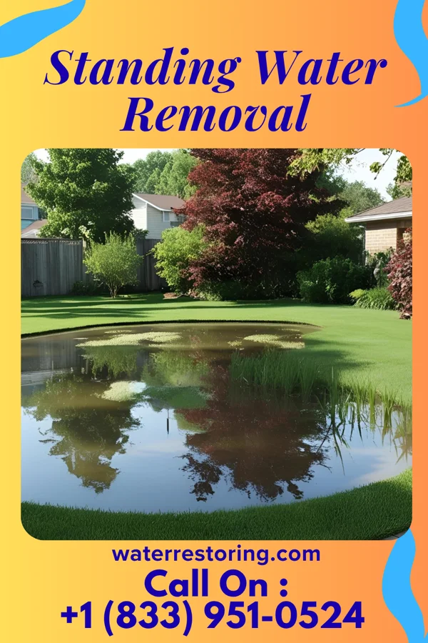 Standing Water Removal in Ostrander, OH
